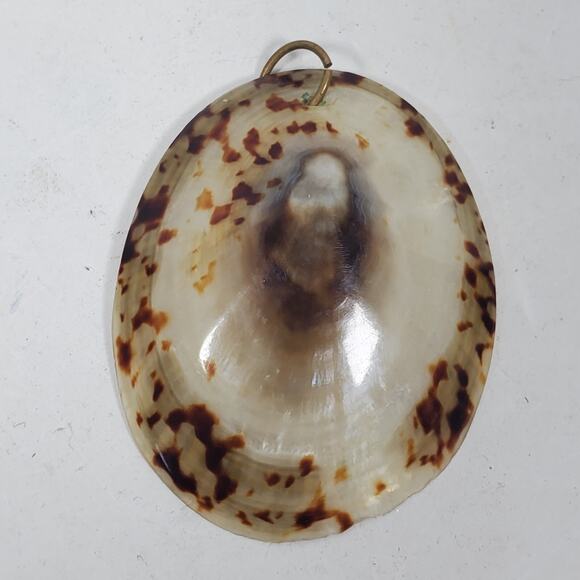 Vintage Shell Pendant 1.75 Inch Long For Crafting Iridescent - Picture 1 of 3